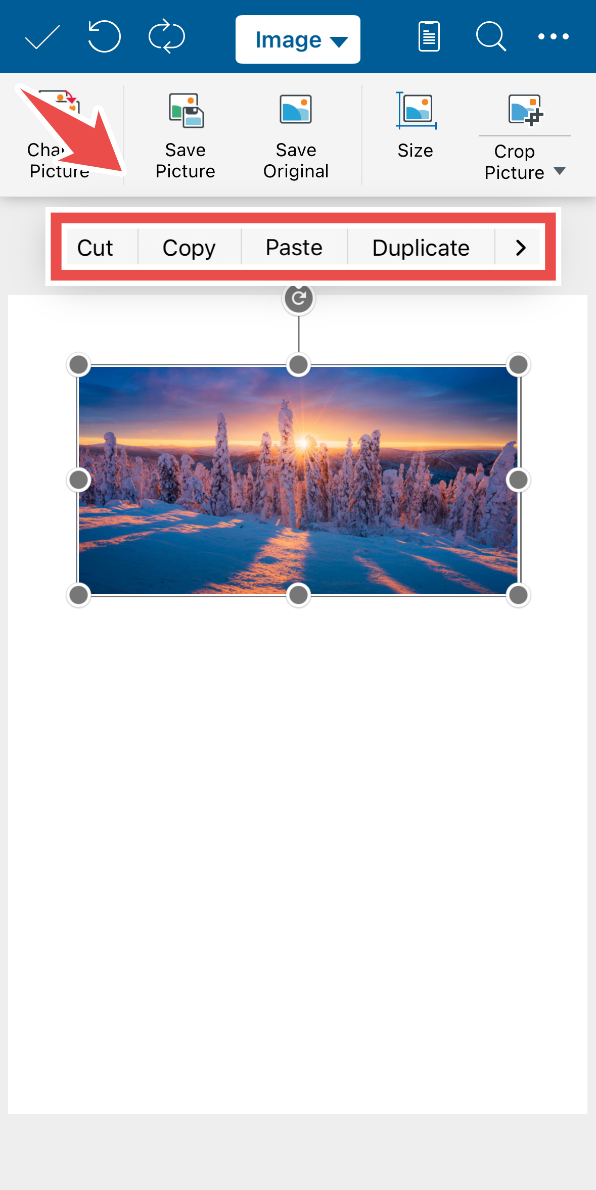 annotely_image (5).png
