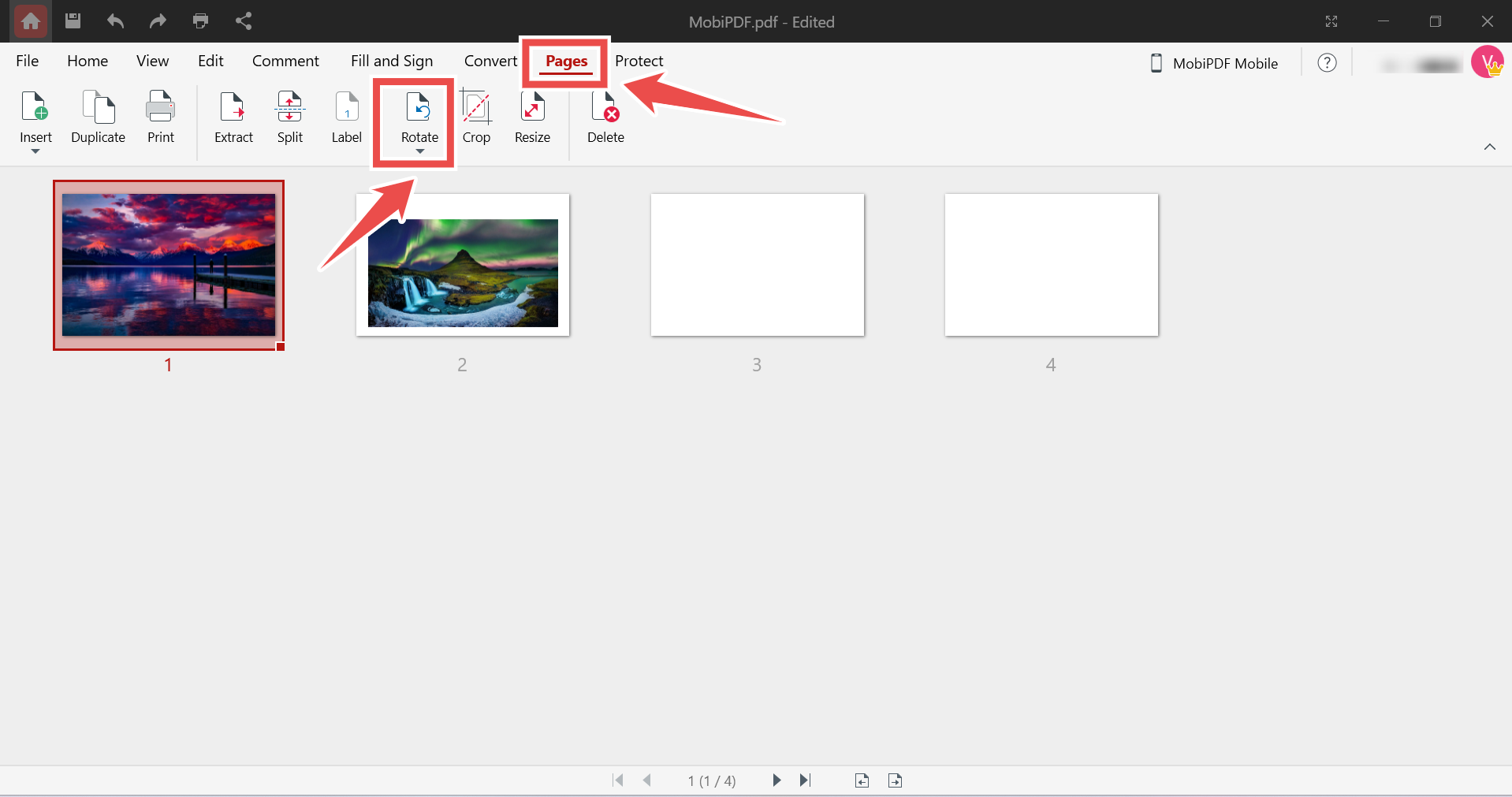 annotely_image (24).png