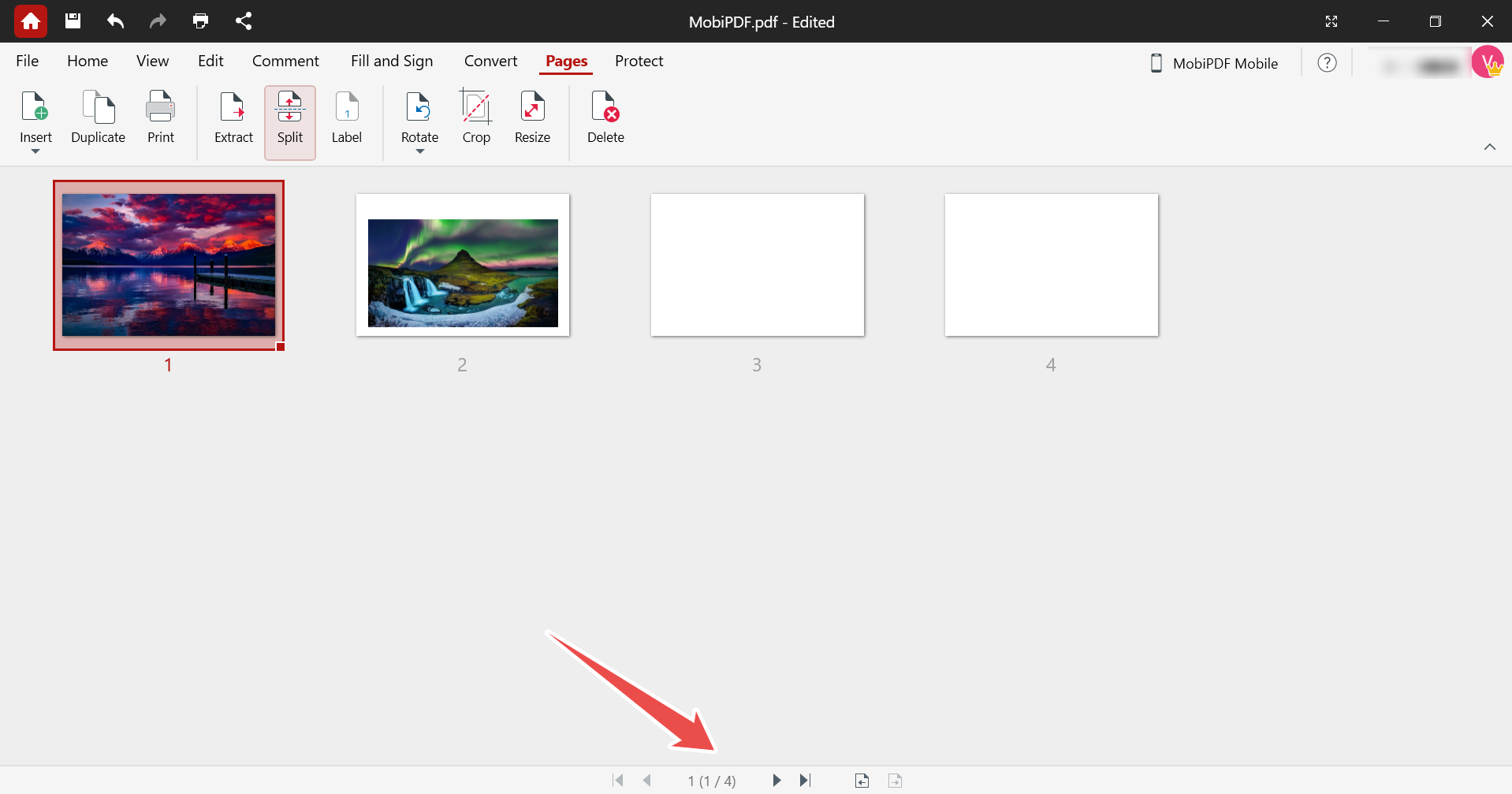annotely_image (32).png