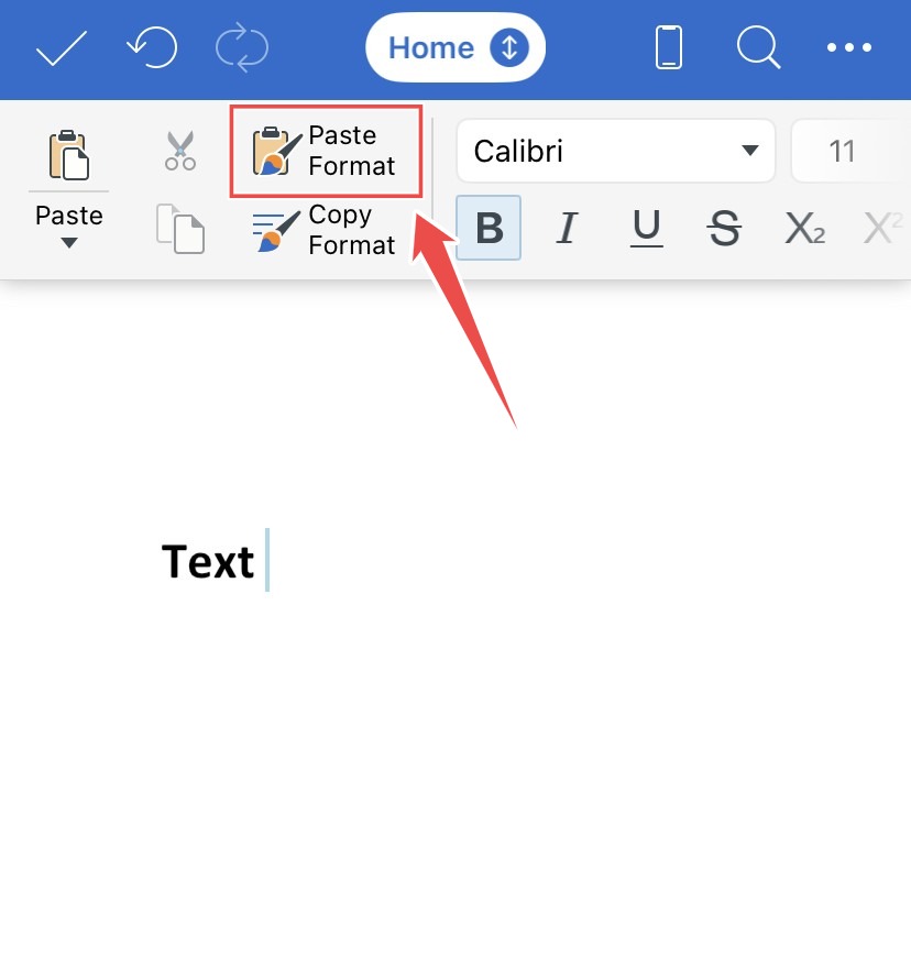 Format text (1).jpeg