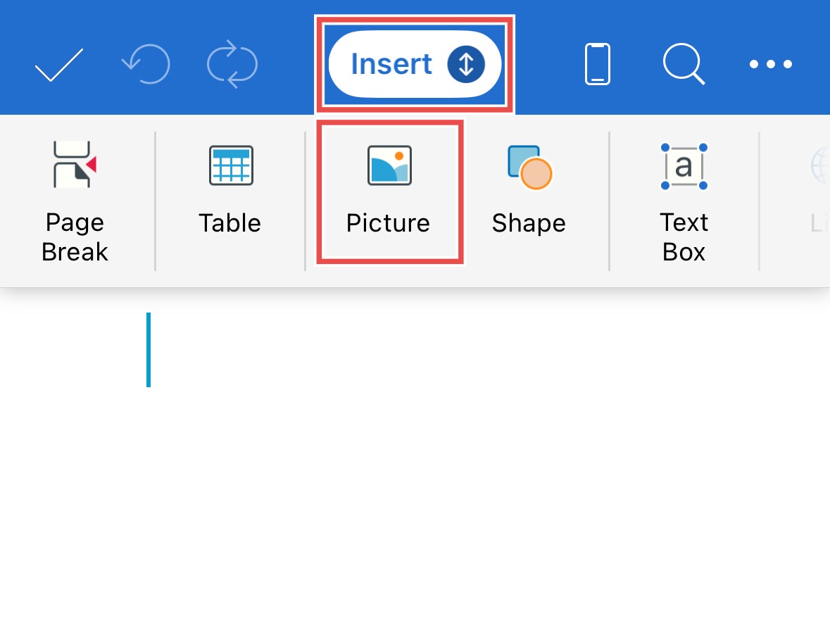 Insert picture (4).jpeg
